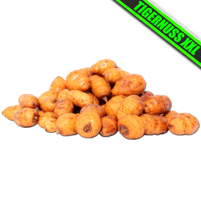 Nakládaný obří tygří ořech XXL 20-35mm 1500ml